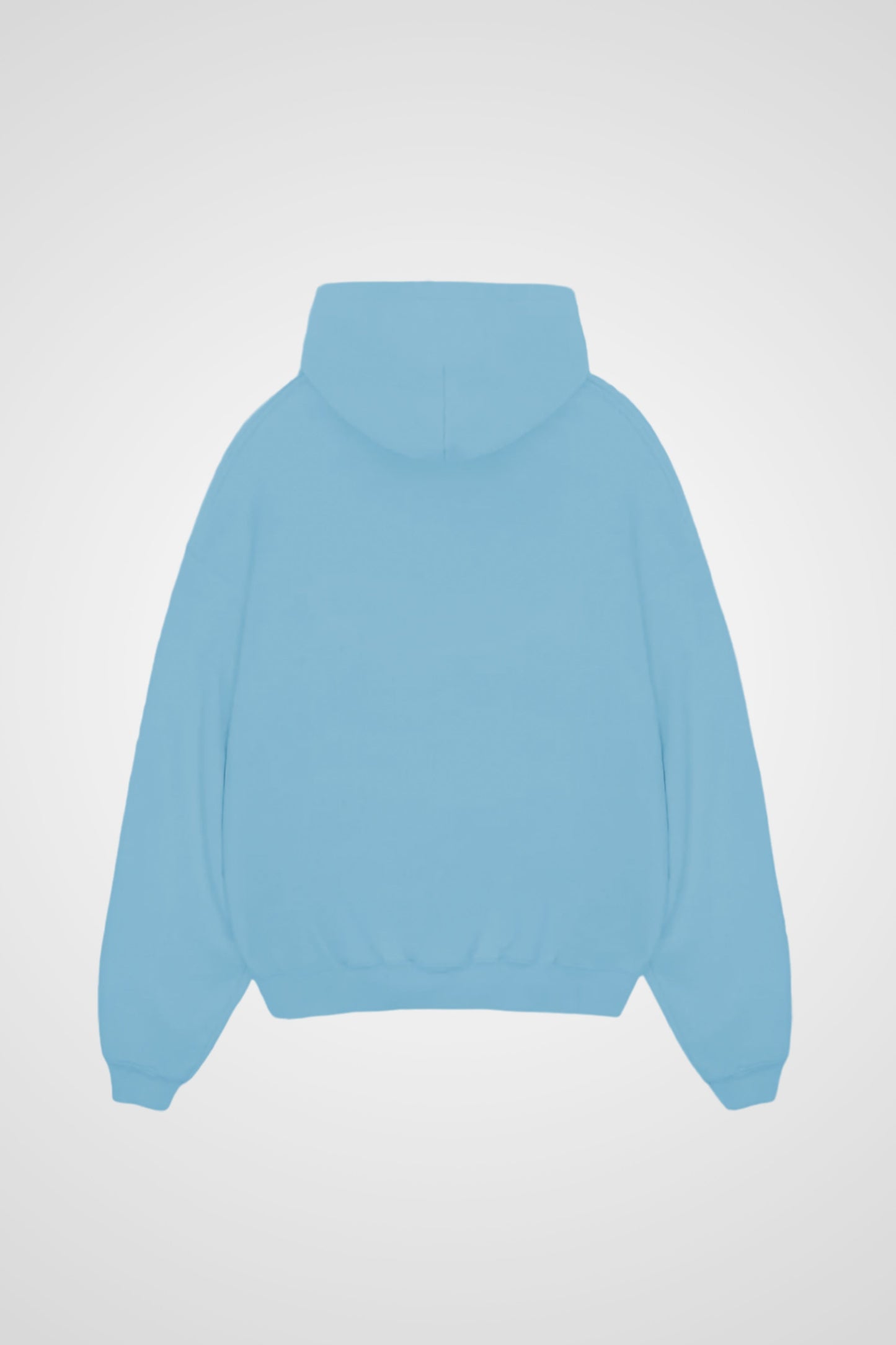 Front Logo Hoodie Light Blue